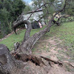 Worley Tree & Yard Service