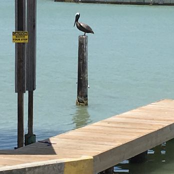 White Sands Restaurant & Bar - Seafood Near Me - Port Isabel, Texas White Sands Restaurant & Bar - Seafood Near Me - Port Isabel, Texas