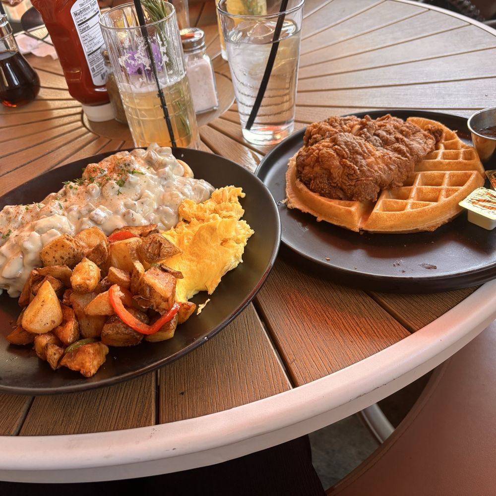 Toast Kitchen & Bar - Breakfast & Brunch Near Me - Brea, California Toast Kitchen & Bar - Breakfast & Brunch Near Me - Brea, California