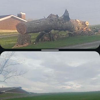Multiple Tree Service - Tree Services Near Me - Georgetown, Indiana Multiple Tree Service - Tree Services Near Me - Georgetown, Indiana
