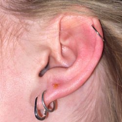 Shara - Infected third piercing