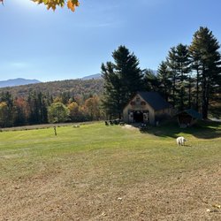 Golden Dog Farm