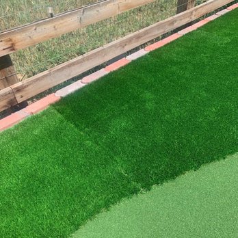EM Landscaping - a close up view of artificial grass - Landscaping Near Me - Brighton, Colorado EM Landscaping - a close up view of artificial grass - Landscaping Near Me - Brighton, Colorado