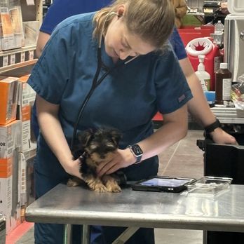 Tractor Supply - Doctor making sure he's healthy. Our cute Yorkie Puppy! - Pet Stores Near Me - Gilroy, California