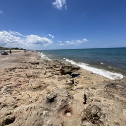 Fletcher Beach