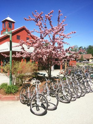 AJ's Ski & Sports by null