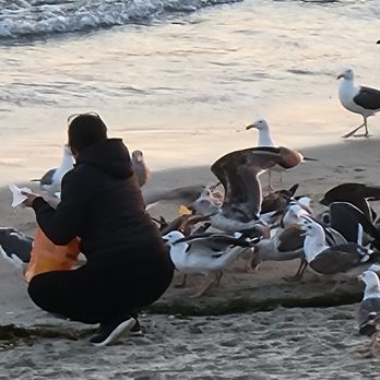 Main Beach Park - Beaches Near Me - Laguna Beach, California