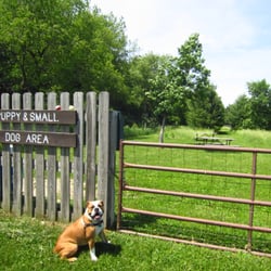 Token Creek Park - Leo wants you to know 1) that there's a puppy & small dog area and 2) he's not allowed in there