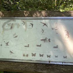 Swadlincote Woodlands