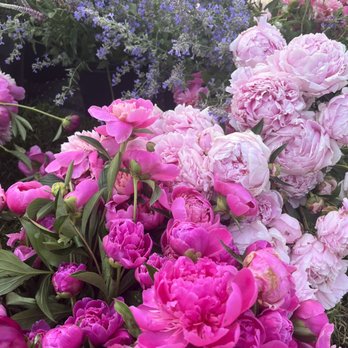 Fishers Farmers Market - Farmers Market Near Me - Fishers, Indiana
