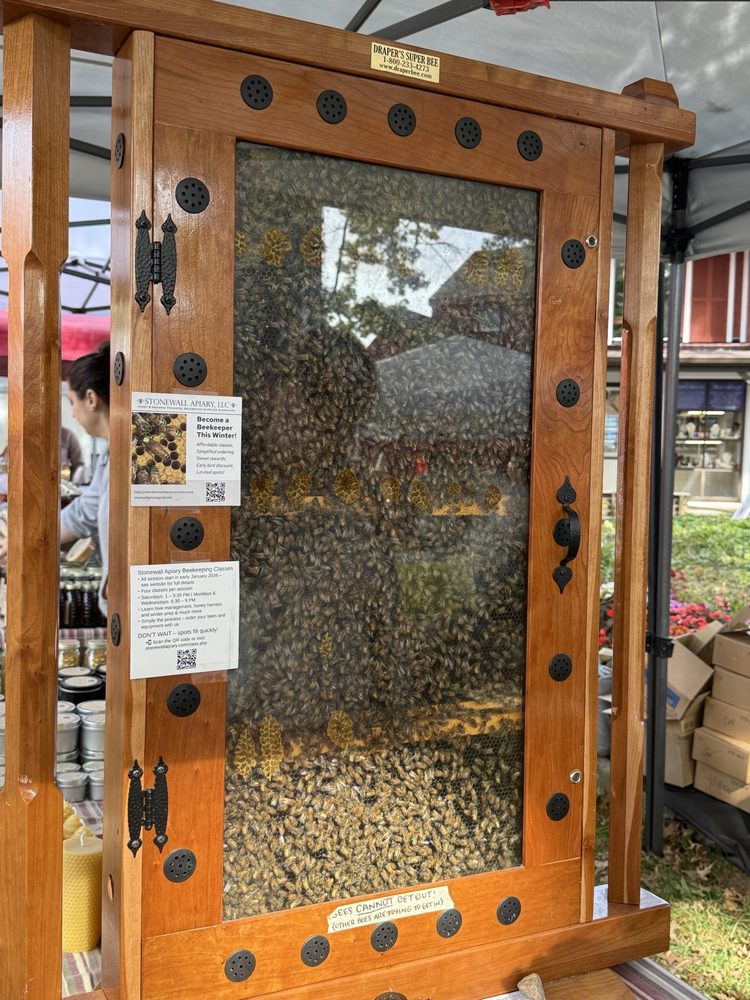 Stonewall Apiary - beekeeping in Versailles, CT