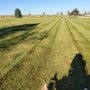 Photo of C & E Lawn Care