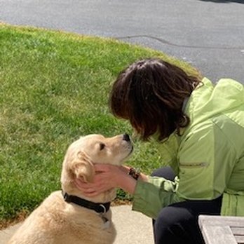 Heidi's Hounds and Cats Too - Pet Sitting Near Me