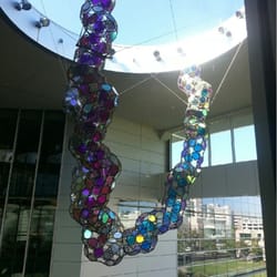 UC Davis School of Medicine - UCD Med's signature icon