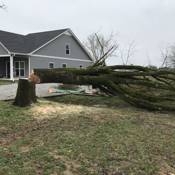 Madison Renee Enterprises - Tree Services Near Me Madison Renee Enterprises - Tree Services Near Me