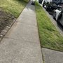 Photo of BK’s Property Services