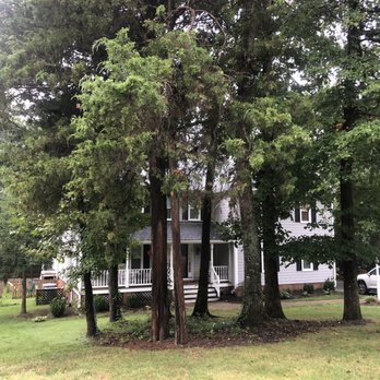 White Oak Landscaping and Grading LLC - Before! - Tree Services Near Me White Oak Landscaping and Grading LLC - Before! - Tree Services Near Me