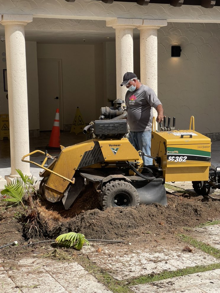 Outdoor Flood Cleanup & Landscape Debris Removal in Seahurst |