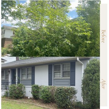 Teasley Lawn Care Services - Before and after if the front of a home. Overgrown shrub and tree removal and pruining - Landscaping Near Me Teasley Lawn Care Services - Before and after if the front of a home. Overgrown shrub and tree removal and pruining - Landscaping Near Me