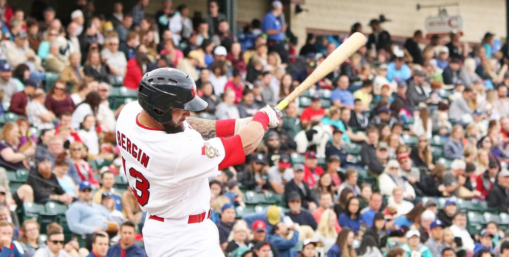 Bergin Batting Logo