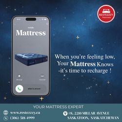 Restezzzy Mattresses 