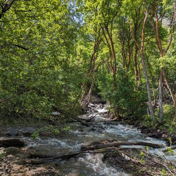 Neff's Canyon - Dog Parks Near Me - Salt Lake City, Utah