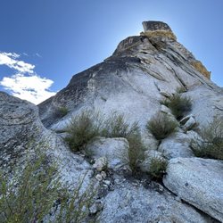 Vertical Pursuits