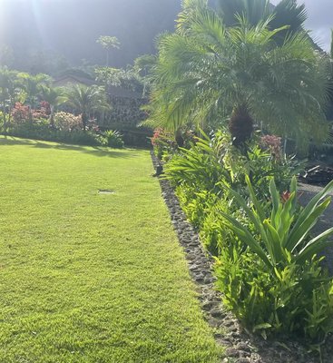 Landscape and maintenance services - Call us today for a consultation and estimate. Landscape and maintenance services - Call us today for a consultation and estimate.