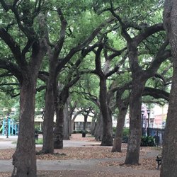 Washington Square