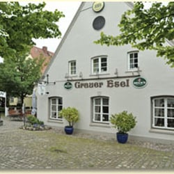 Grauer Esel