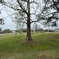 Cedar Street Park - Park
