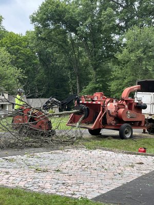 Tree Services - At Benites Tree Services, we take pride in transforming and maintaining the beauty of landscapes through expert tree care. Our portfolio showcases a range of projects, highlighting our commitment to quality, safety, and customer satisfaction.