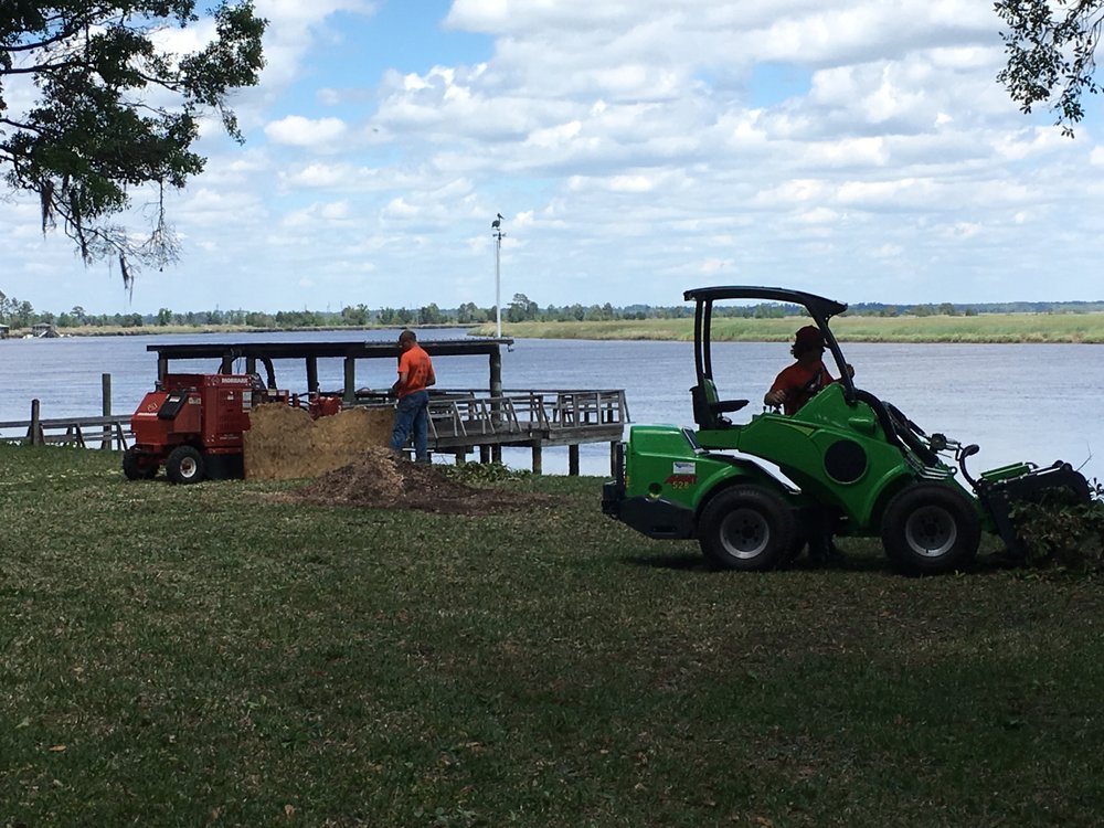 Coastal Tree Service - tree service in Richmond Hill, GA