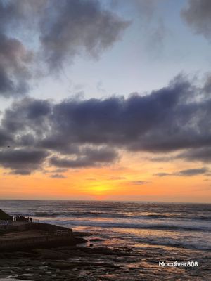 Ocean Beach Farmers Market by null