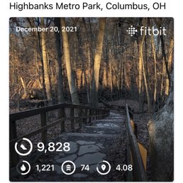 My walk stats My walk stats