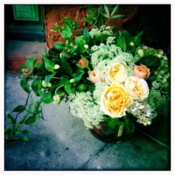 Stop in and see us! We have beautiful flowers for pick up and delivery as well as Gifts for every occasion.