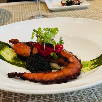 Bloom - Squid - New American Near Me - Verona, New Jersey