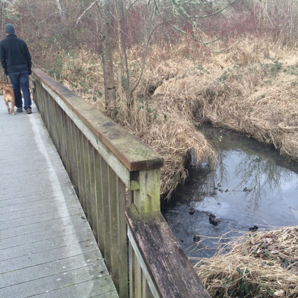 Willow Creek Nature Park - Parks Near Me - Beaverton, Oregon Willow Creek Nature Park - Parks Near Me - Beaverton, Oregon