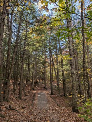 Bradbury Mountain State Park by null