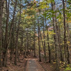 Bradbury Mountain State Park