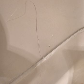 Peach Tree Inn - Hair on shower wall - Hotels Near Me - San Luis Obispo, California Peach Tree Inn - Hair on shower wall - Hotels Near Me - San Luis Obispo, California