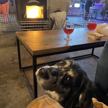 Alfie’s Wild Ride - Enjoying drinks by the pellet stove - Tacos Near Me - Stowe, Vermont