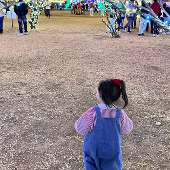 Desert Farm Lights - Bounce House Rentals Near Me - Waddell, Arizona Desert Farm Lights - Bounce House Rentals Near Me - Waddell, Arizona