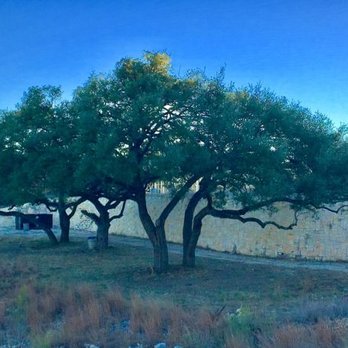 Arboretum Tree Services - Tree Services Near Me - Bulverde, Texas
