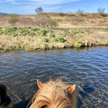 Riding Wild - Community Service/Non-Profit Near Me