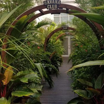 Amparo - Performing Arts Near Me - Miami, Florida