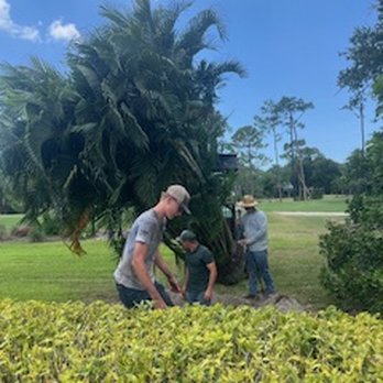 Palm Tree Nursery - Nurseries & Gardening Near Me - North Fort Myers, Florida Palm Tree Nursery - Nurseries & Gardening Near Me - North Fort Myers, Florida