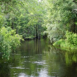 Lumber River State Park Chaulk