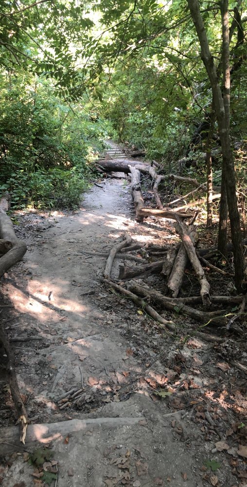 SPRING CREEK PARK PRESERVE Updated June 2024 15 Photos 1787