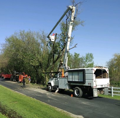 Removing Trees and Stumps - We have been removing trees and stumps for many years. My crew is respectful of property and we do an excellent job of clean-up. Check out our great reviews on multiple platforms and call for a free quote.